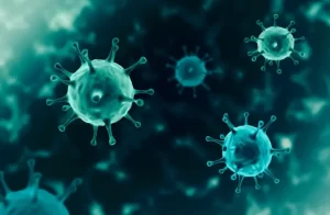 Read more about the article New COVID variant detected in South Africa, most mutated variant so far The C.1.2 variant first detected in South Africa is more mutated compared to the original virus than any other known variant. By TZVI JOFFRE   SEPTEMBER 1, 2021 21:20